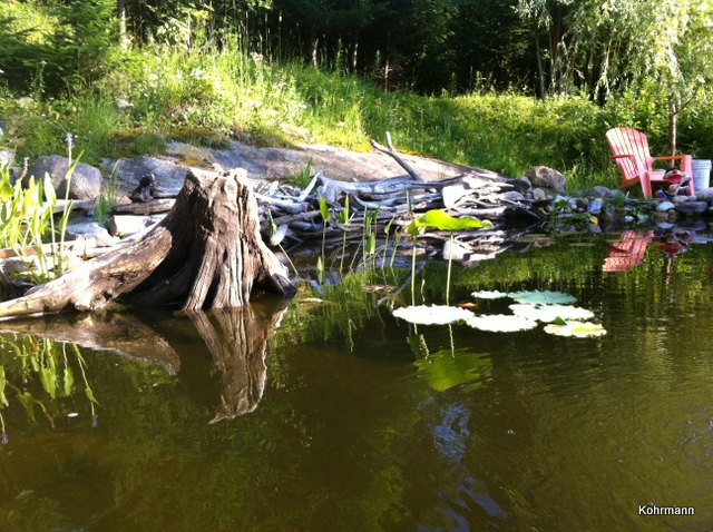 Ponds by Keystone Ceramics - Udo Kohrmann, Wakefield Quebec