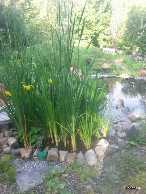 Ponds by Keystone Ceramics - Udo Kohrmann, Wakefield Quebec