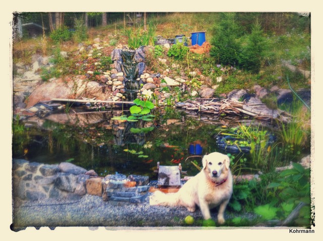 Ponds by Keystone Ceramics - Udo Kohrmann, Wakefield Quebec
