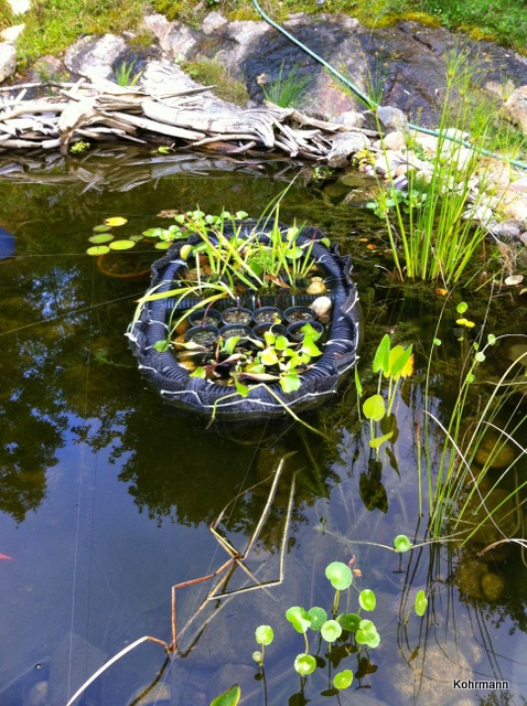Ponds by Keystone Ceramics - Udo Kohrmann, Wakefield Quebec